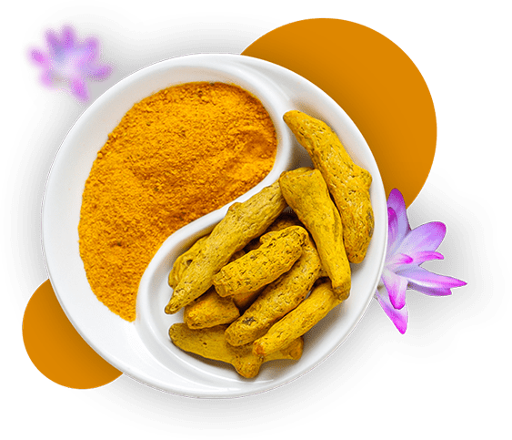 Turmeric Services